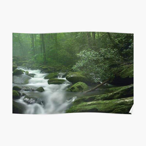 Roaring Fork River Flowing Through Forest In Great Smoky Mountains National Park Poster