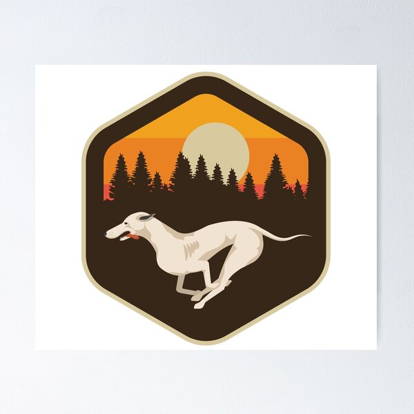 Item preview, My hiking partner has four legs designed and sold by FashionSquad.