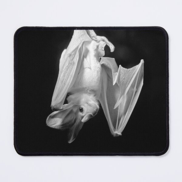 Item preview, murciélago fantasma designed and sold by LeanneAllen.