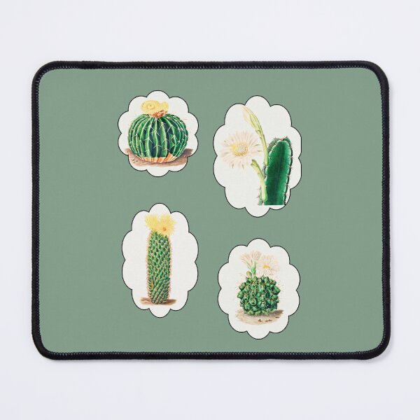 Item preview, Cactus vintage collection 3 designed and sold by Astralia.