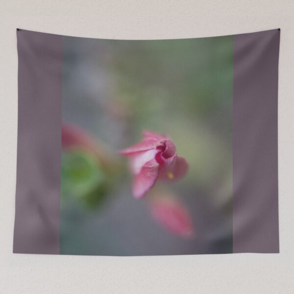 Item preview, Springing Desert Rose © Vicki Ferrari designed and sold by Vicki Ferrari Photography.