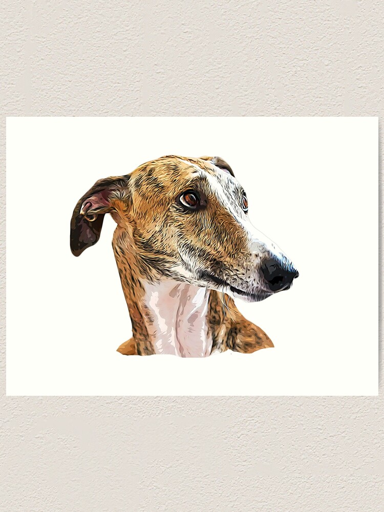 Greyhound dog hot sale brindle