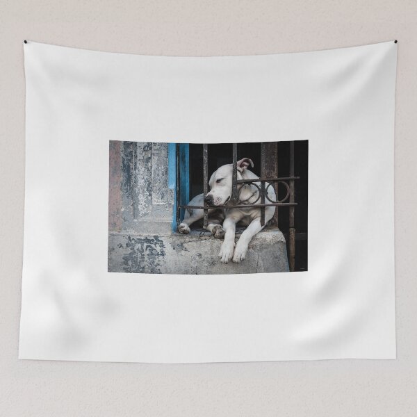 Item preview, Sleeping dog designed and sold by connyM-Sweden.