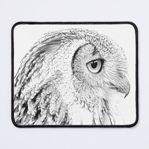 Item preview, Indian Eagle Owl designed and sold by Dalyndigital Photography.
