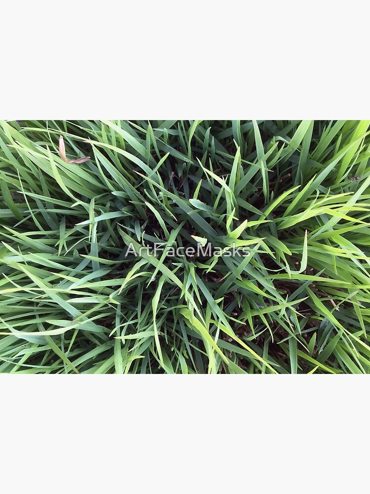 Grass Texture Close Up Detail by ArtFaceMasks