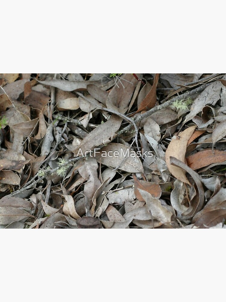 Dry Eucalyptus Leaves in Australian Bush by ArtFaceMasks