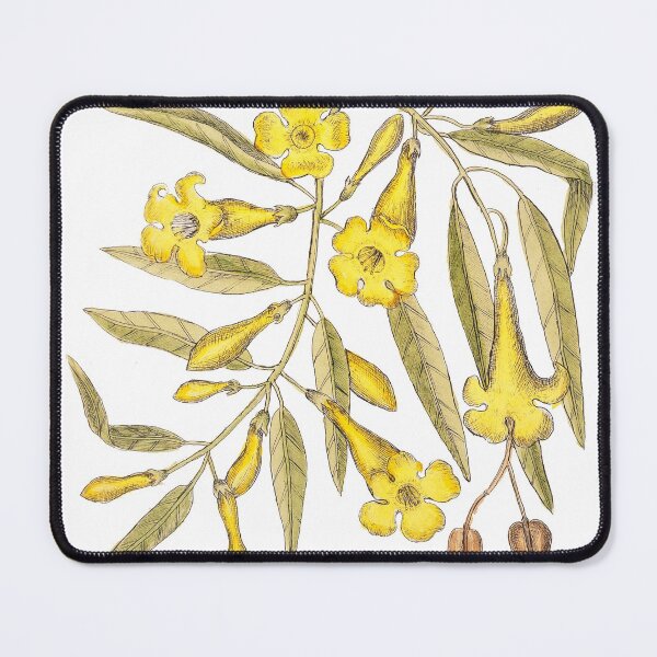 Item preview, Vintage yellow jasmine jessamine (Gelsemium sempervirens) twining tropical vine and witch-hazel designed and sold by wackodesign.