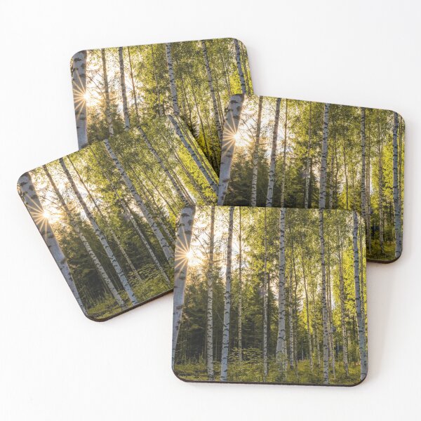 Item preview, Birches designed and sold by DiFigianoPhoto.