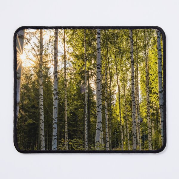 Item preview, Birches designed and sold by DiFigianoPhoto.