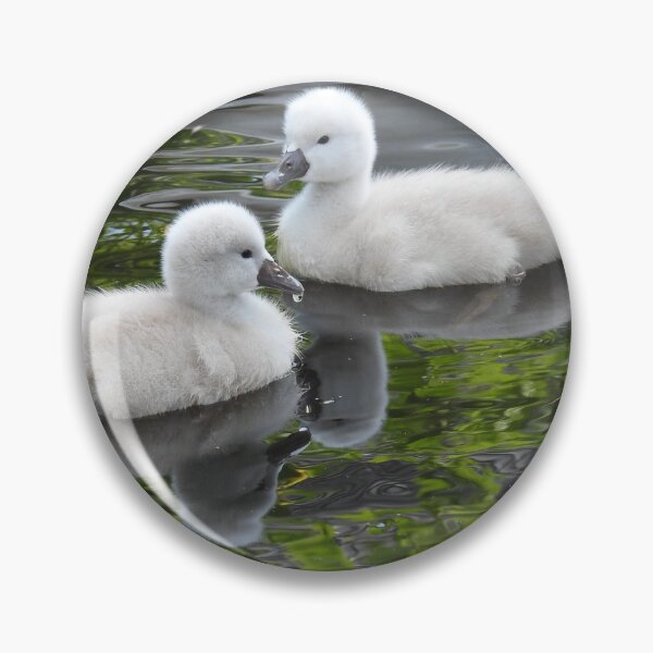 Item preview, Two lovely cygnets designed and sold by Anita van Gendt.