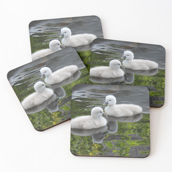 Item preview, Two lovely cygnets designed and sold by Anita van Gendt.