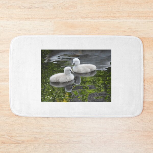 Item preview, Two lovely cygnets designed and sold by Anita van Gendt.