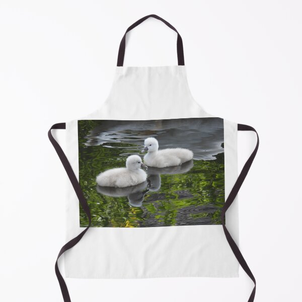Item preview, Two lovely cygnets designed and sold by Anita van Gendt.