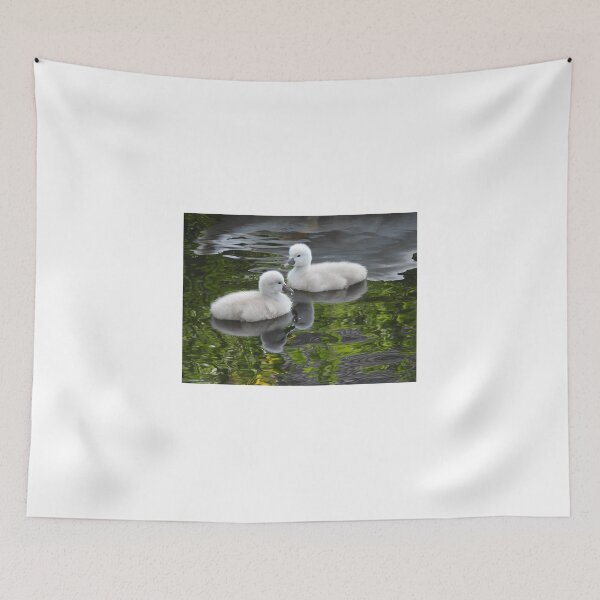 Item preview, Two lovely cygnets designed and sold by Anita van Gendt.