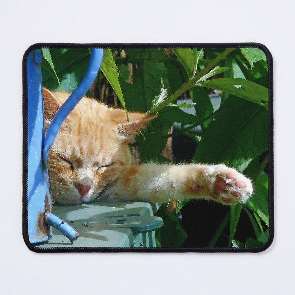 Item preview, Roudoudou tribute to my sleeping alone in vintage ! 01 (c)(t) ) by Olao-Olavia / Okaio Créations fz 200 au 1200 mm i zoom designed and sold by o.okaïo.