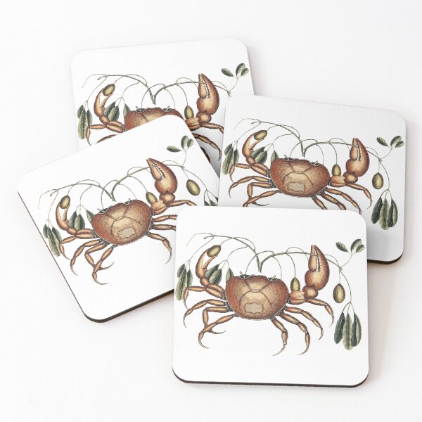 Item preview, Vintage land crab and marine plant for vintage cancer from the bahama islands' marine life designed and sold by wackodesign.