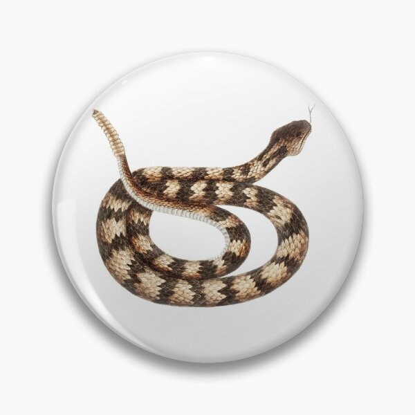 Item preview, Vintage Brown Rattle Snake Reptile From The Bahama Islands Serpent designed and sold by wackodesign.