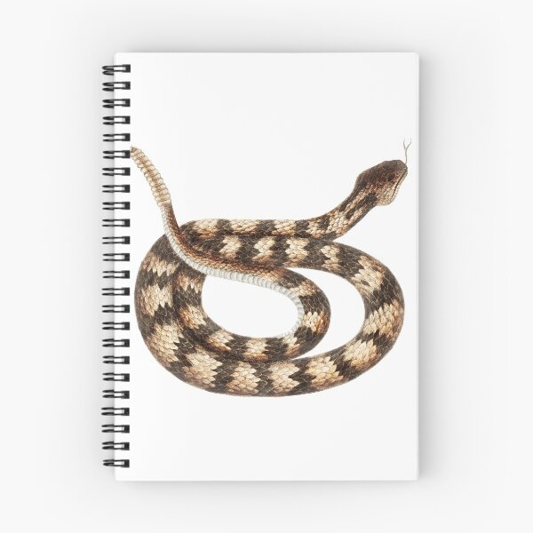 Item preview, Vintage Brown Rattle Snake Reptile From The Bahama Islands Serpent designed and sold by wackodesign.