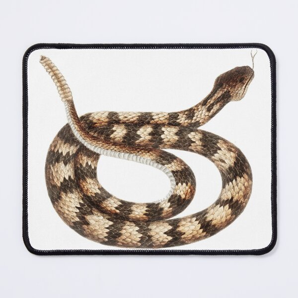 Item preview, Vintage Brown Rattle Snake Reptile From The Bahama Islands Serpent designed and sold by wackodesign.