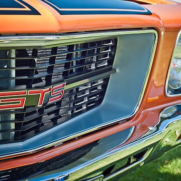 Artwork thumbnail, HQ Holden GTS Grill Orange by radestilo