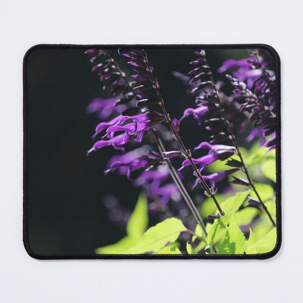 Item preview, Beautiful Bright Purple Salvia Amistad Flowers designed and sold by Imladris01.