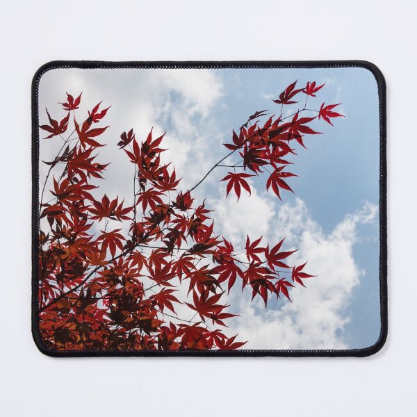 Item preview, Japanese Maple Red Lace - Vertical Up Right Variation designed and sold by Georgia Mizuleva.