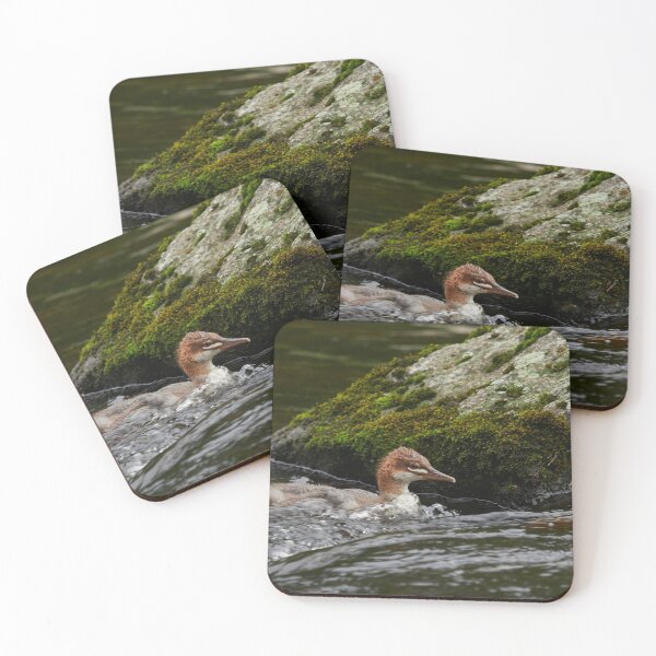 Item preview, Against the stream. Young Common merganser designed and sold by Jouko Lehto Photography.