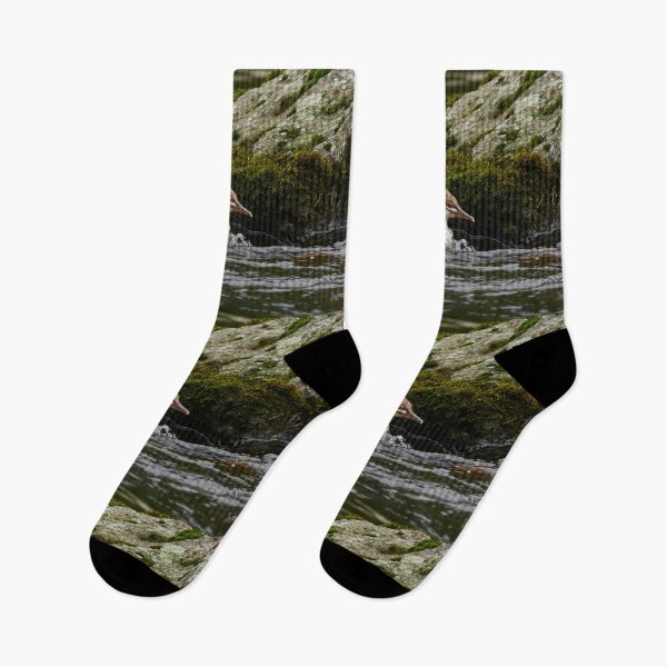Item preview, Against the stream. Young Common merganser designed and sold by Jouko Lehto Photography.