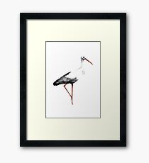 Stork Bird Watercolor Poster Painting Animal Drawing illustration Framed Print