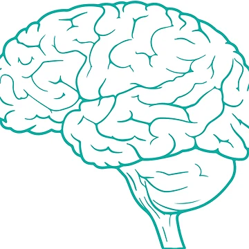 Artwork thumbnail, Brainnn by Randomazer