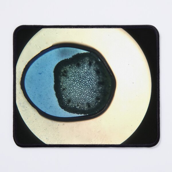 Item preview, Plant cross section dyed blue under microscope designed and sold by BeanWired.