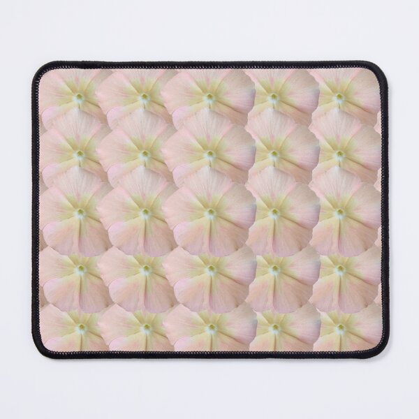 Item preview, Pink Phlox Flower Still Life Floral Photography designed and sold by CottoVerdi.