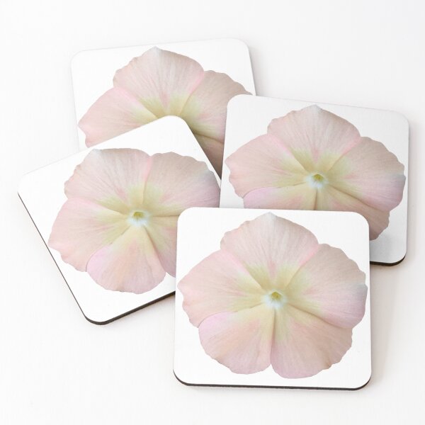 Item preview, Pink Phlox Flower Still Life Floral Photography designed and sold by CottoVerdi.