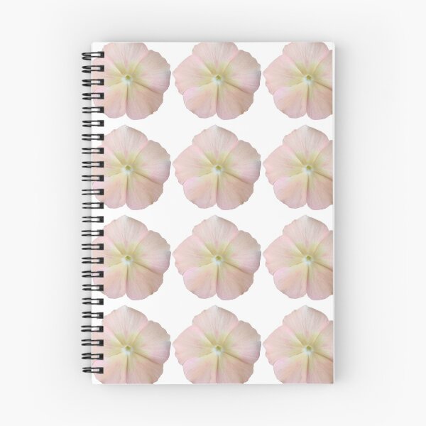 Item preview, Pink Phlox Flower Still Life Floral Photography designed and sold by CottoVerdi.