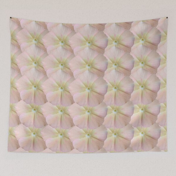 Item preview, Pink Phlox Flower Still Life Floral Photography designed and sold by CottoVerdi.