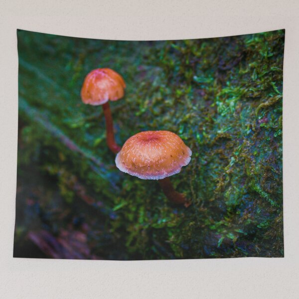 Item preview, Tiny Orange mushroom growing from a wet mossy bed on an old tree branch designed and sold by James-Cole.