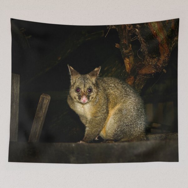 Item preview, Australian Bushtail possum at night designed and sold by James-Cole.