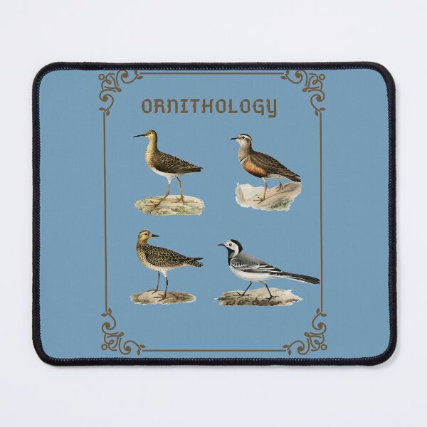 Item preview, ornithology designed and sold by SVOLTAstore.