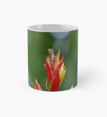 Lizard lookout 2 Mug
