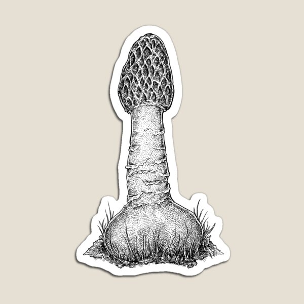 Stinkhorn Mushroom Magnet