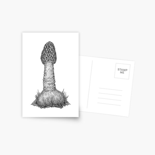 Stinkhorn Mushroom Postcard
