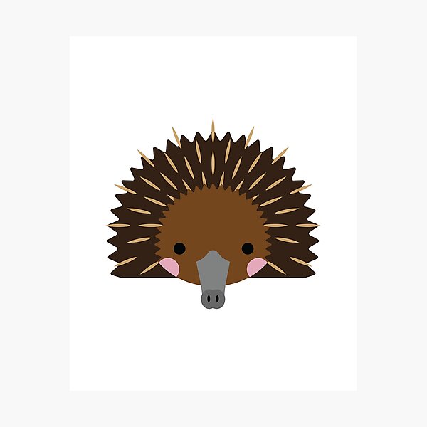 Item preview, Cute Australian Echidna designed and sold by OutofFocusShop.
