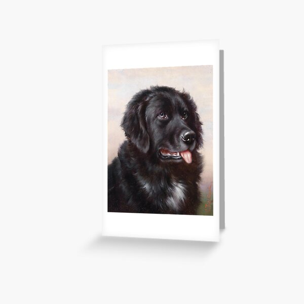 NEWFOUNDLAND DOG AND PUPPY CHARMING GREETINGS NOTE CARD