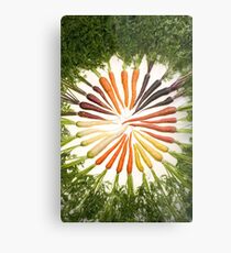 Carrot Color Wheel Metal Print