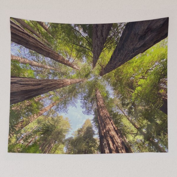 Item preview, Redwood National Park designed and sold by Adventuredream.