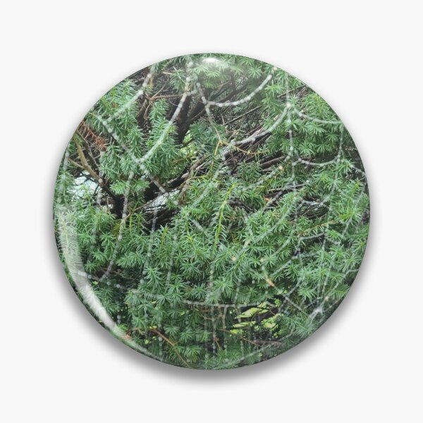 Item preview, Spider web designed and sold by zchriswit.