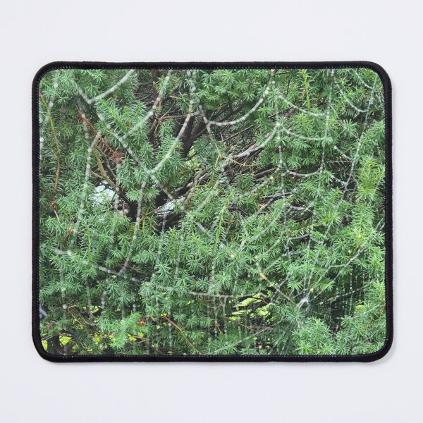 Item preview, Spider web designed and sold by zchriswit.