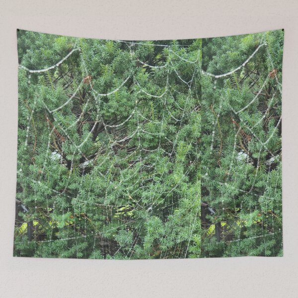 Item preview, Spider web designed and sold by zchriswit.