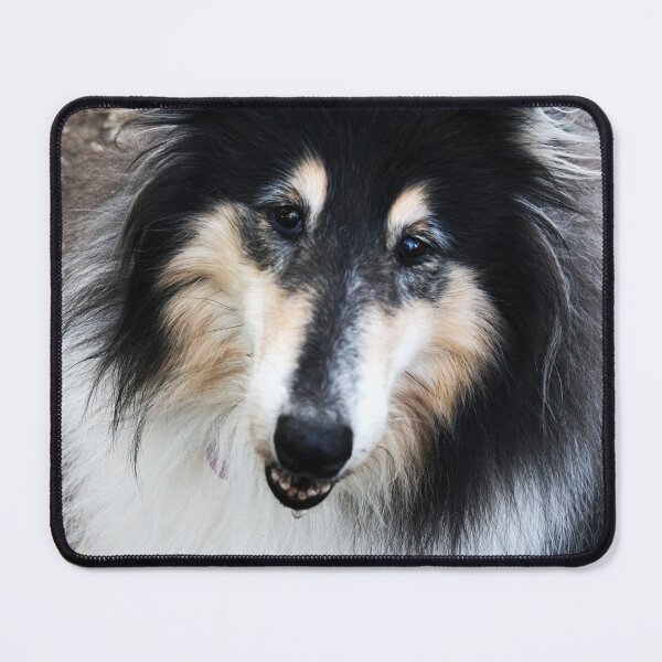 Item preview, Face of a cute rough collie (lassie dog) designed and sold by EdgyDesignForU.