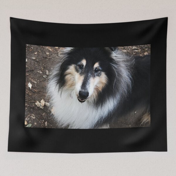 Item preview, Face of a cute rough collie (lassie dog) designed and sold by EdgyDesignForU.